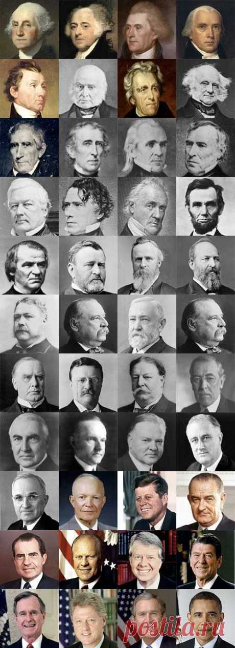 The Presidents of the United States of America  |   Pinterest • Всемирный каталог идей
