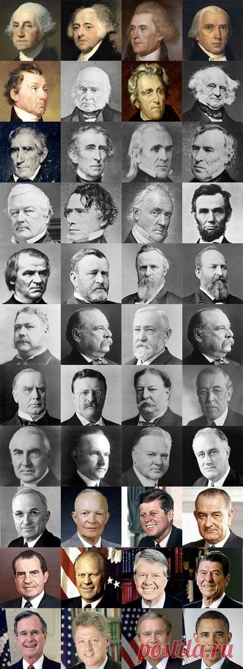 The Presidents of the United States of America  |   Pinterest • Всемирный каталог идей