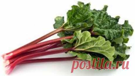 Взять ревеню 2 золотника...