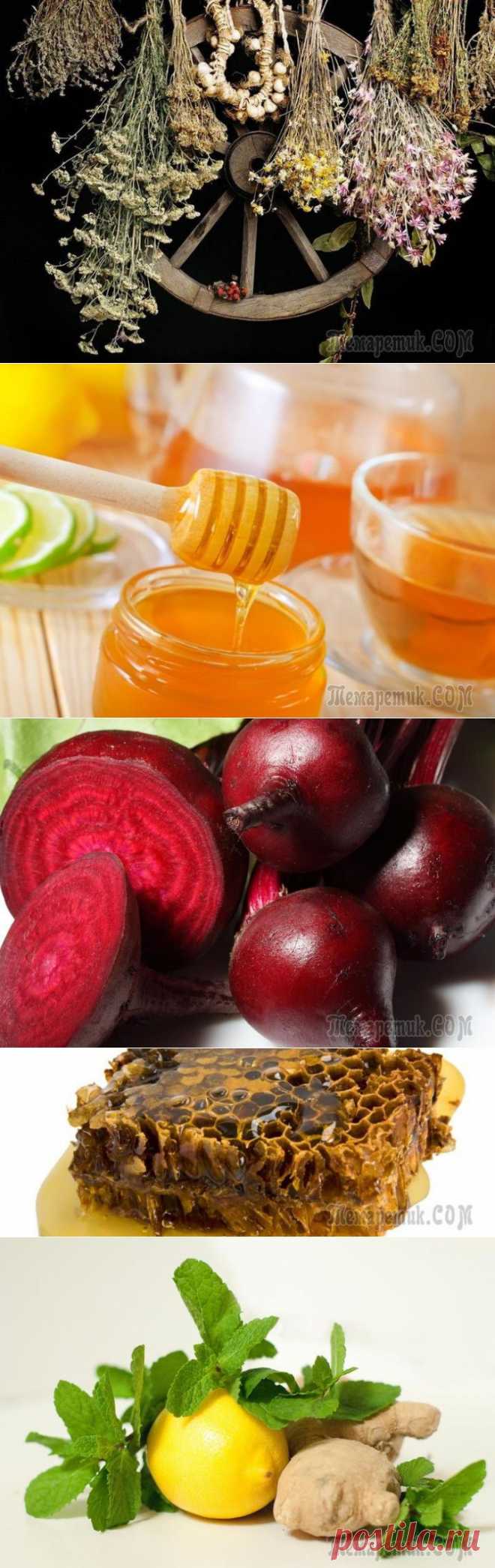 Эффективное лечение ангины народными способами