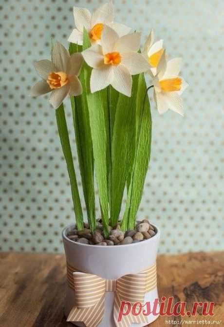 Красивые весенние нарциссы из гофрированной бумаги / Вязание как искусство!