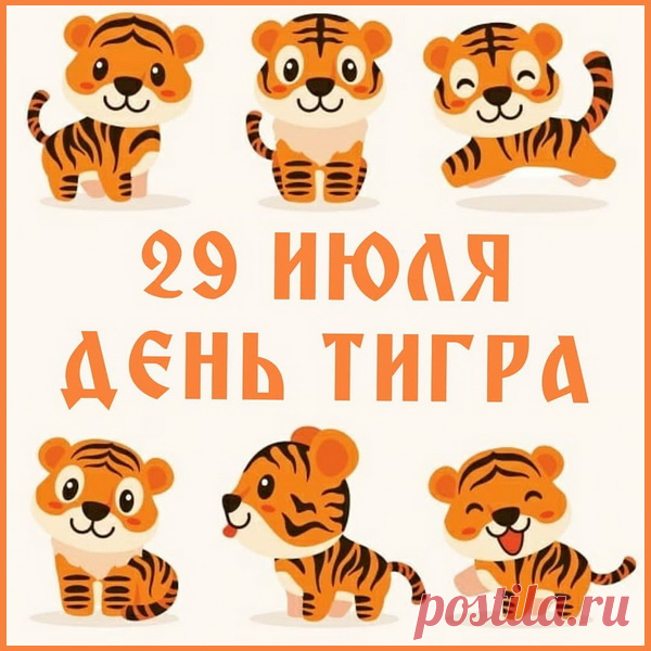 «Тигры» — царственный народ,
Величав его весь род!
Власть дана самой природой,
Нежной, искренней заботой.
