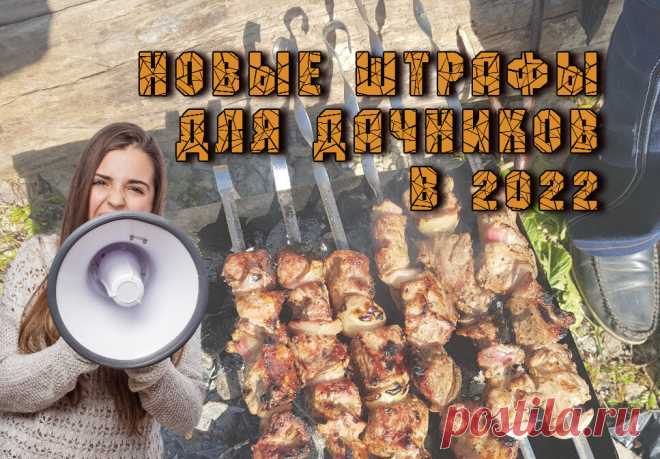 Новые штрафы для дачников в 2022. | 🌿 Дачное 🏡 ПМЖ 🌿 | Яндекс Дзен