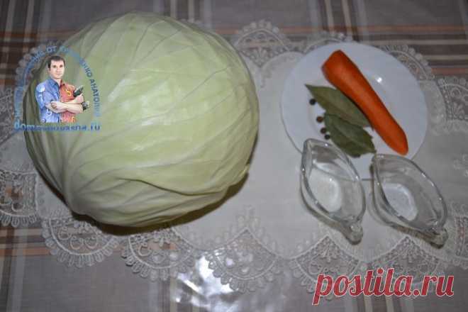 Вкусная квашеная капуста в литровой банке. Рецепт наш семейный, проверенный годами | Народные знания от Кравченко Анатолия