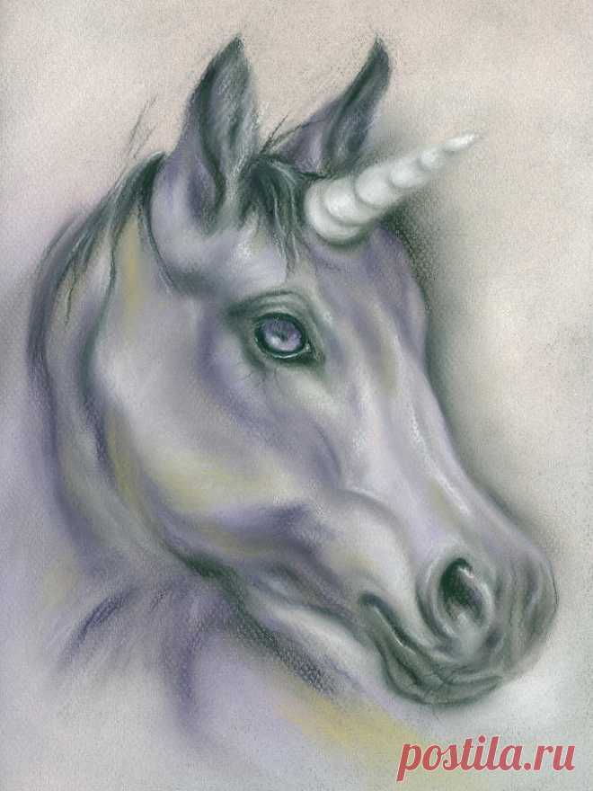 Unicorn Portrait by MM Anderson Unicorn Portrait Painting by MM Anderson