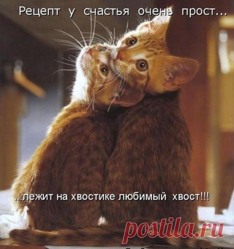 счастье