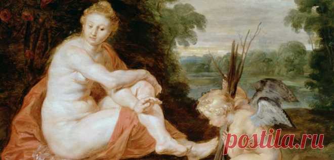 Толстый — значит несчастный? О взаимосвязи между личным успехом и цифрой на весах