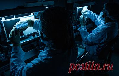 Республиканцы обвинили бывшего главного инфекциониста США в искажении данных о ковиде. По мнению конгрессменов, Энтони Фаучи инициировал подготовку публикации, опровергающей теорию о лабораторном происхождении коронавируса