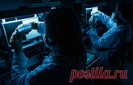 Республиканцы обвинили бывшего главного инфекциониста США в искажении данных о ковиде. По мнению конгрессменов, Энтони Фаучи инициировал подготовку публикации, опровергающей теорию о лабораторном происхождении коронавируса