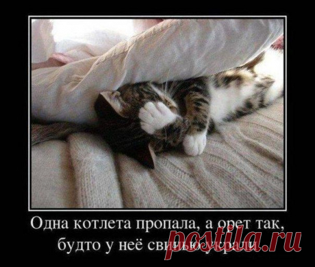 Диалоги