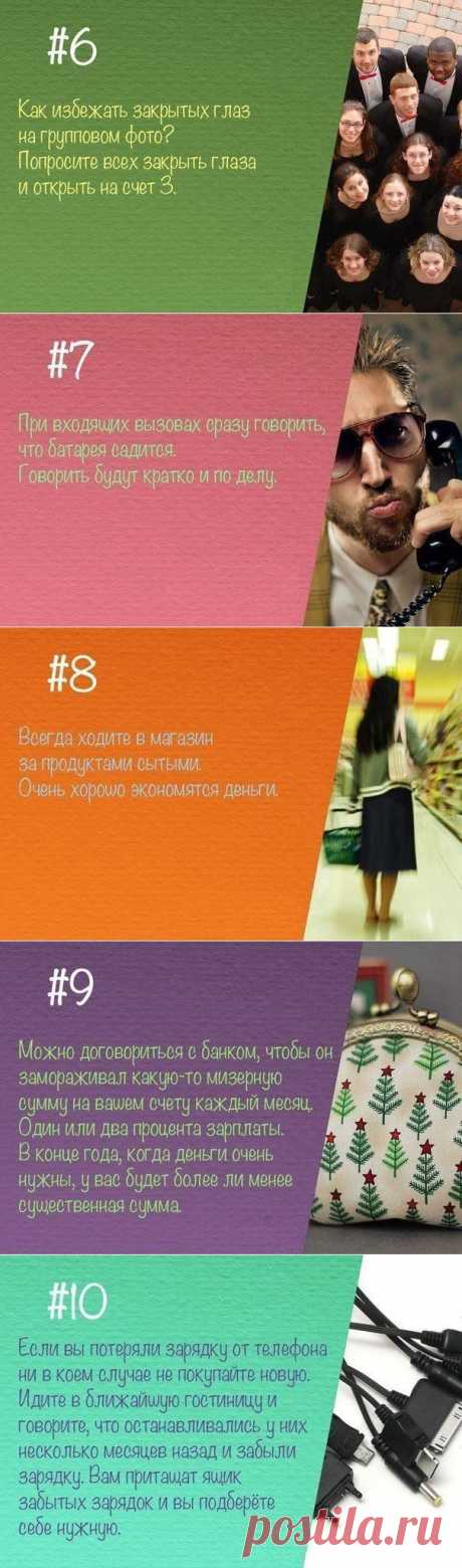 Советы на все случаи жизни / Домоседы
