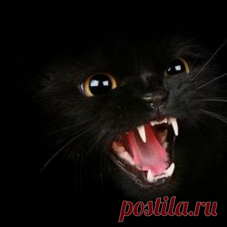 Потрясающие обои в темных тонах для Вашего рабочего стола - elena_zhigai@mail.ru - Почта Mail.Ru