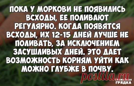 Вот такой вот 