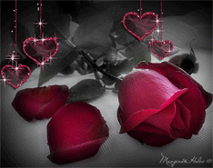 Цветы – Блог. Run, пользователь Марина Николаева | Группы Мой Мир