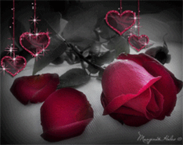 Цветы – Блог. Run, пользователь Марина Николаева | Группы Мой Мир