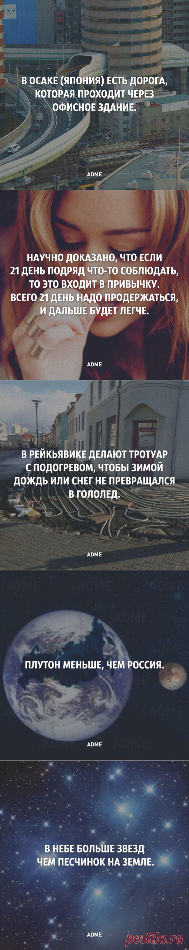 25 коротких фактов о нашем мире | Полезные советы