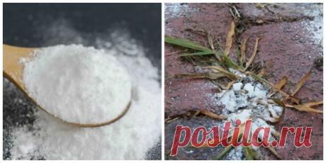 Соседка по даче поделилась секретом удаления сорняков! Теперь пользуюсь только этим простым и легким методом! — Копилочка полезных советов