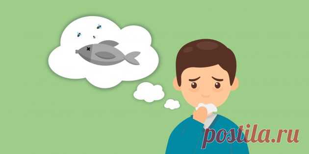 Неприятный запах изо рта: почему он появляется и как с ним бороться - Лайфхакер