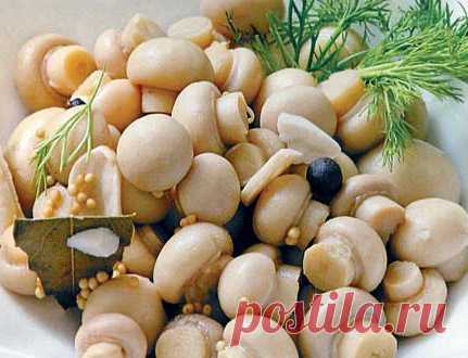 Шампиньоны,маринованные в вине