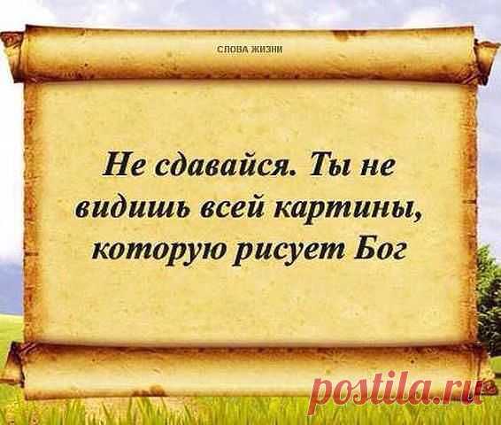 Новости