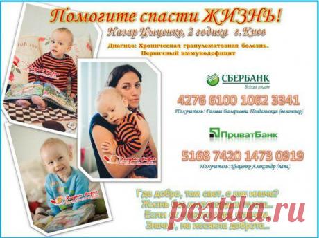 РИСУЕМ ЖИЗНЬ! Назар Цыценко. Срочный сбор!