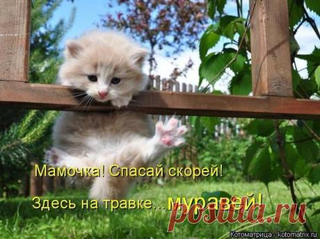 Новости