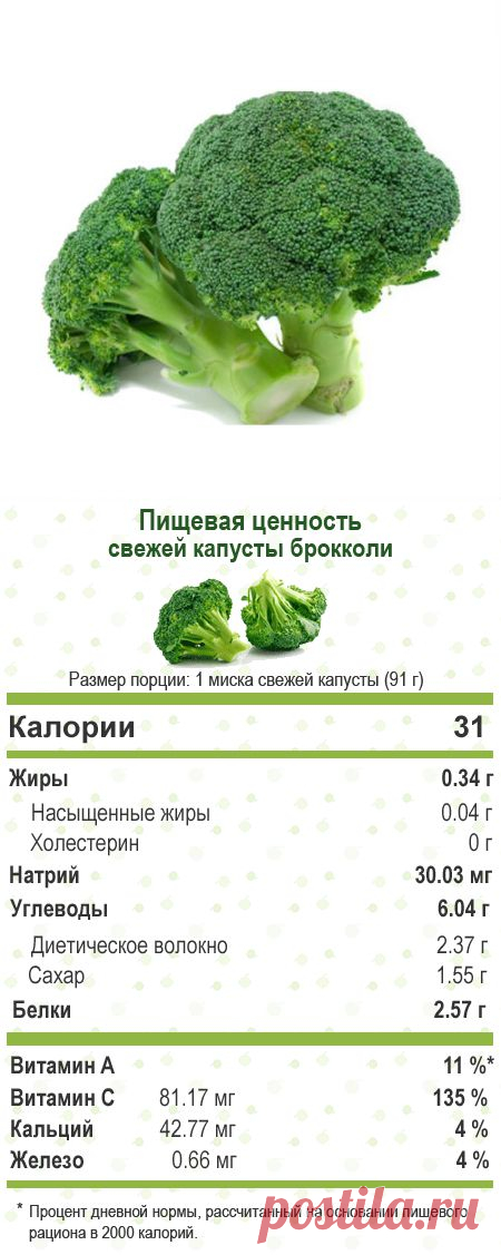 Брокколи — ценный источник альтернативной противораковой терапии. — Всегда в форме!