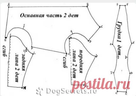 Одежда для пекинесов: купить или сшить своими руками, фото, картинки