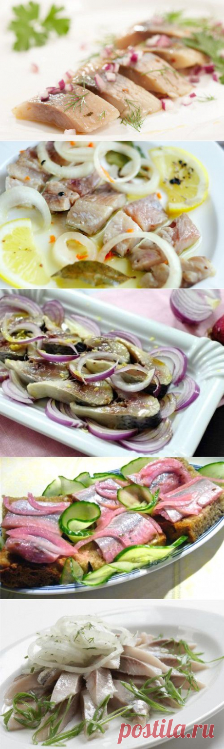 Селедка – маринуем и засаливаем сами / Простые рецепты