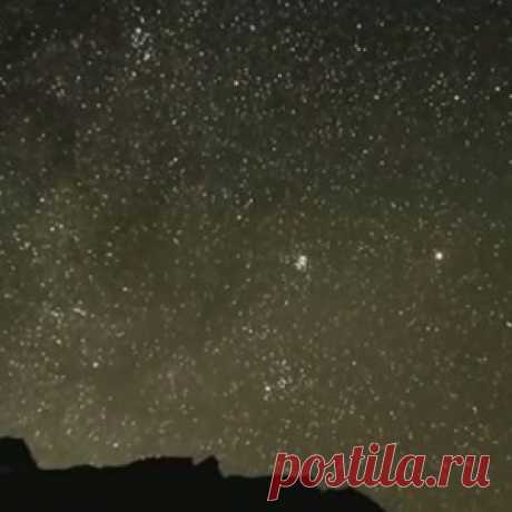 Разведение лимонов дома