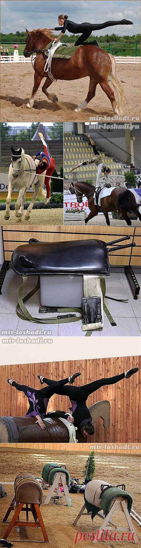 Вольтижировка