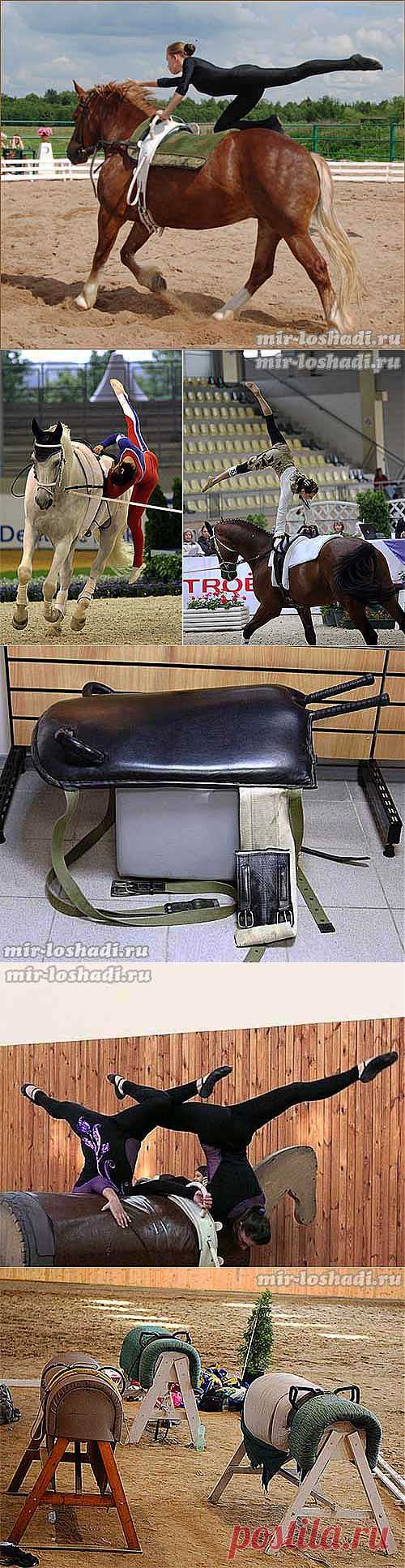 Вольтижировка
