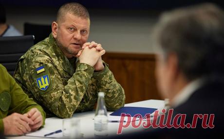 Эксперты оценили соблюдение правил при новом назначении Залужного. На Украине назвали назначение Залужного послом в Британии нарушением дипломатических обычаев. Мнения опрошенных РБК экспертов разделились: профессор Бакланов с этим согласился, профессор Панов не увидел расхождений с практикой