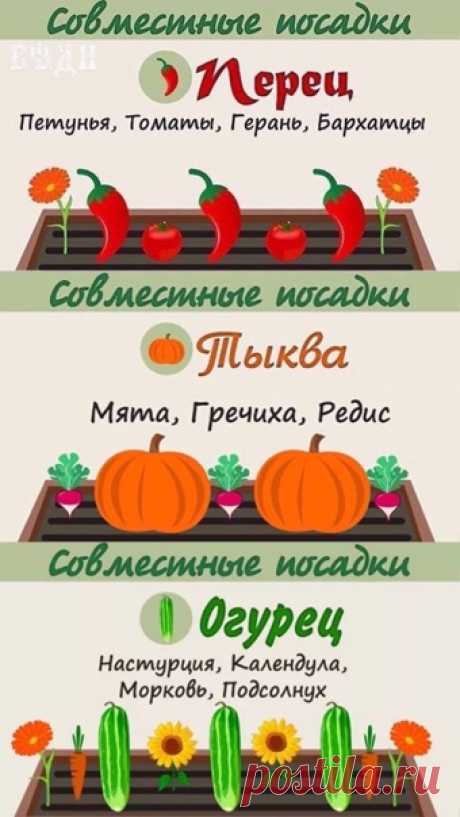 Яндекс.Картинки: поиск похожих изображений