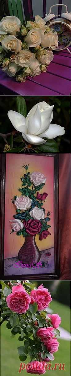 Pinterest