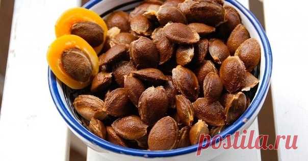 Витамин B17 запрещен, потому что он лечит рак и уничтожает любую злокачественную опухоль!

Рак — смертельное заболевание, унесшее жизни уже миллионов людей. Существуют отдельные дорогостоящие виды лечения этой напасти, которые, увы, не гарантируют 100%-го выздоровления.
Показать полностью...