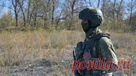 Спецназ &quot;Сибирь&quot; уничтожил группу подкрепления ВСУ под Клещеевкой
