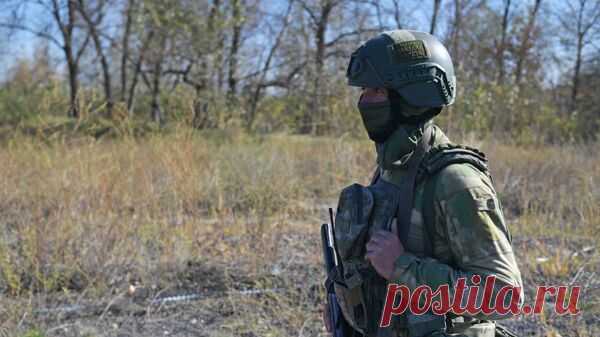 Спецназ "Сибирь" уничтожил группу подкрепления ВСУ под Клещеевкой