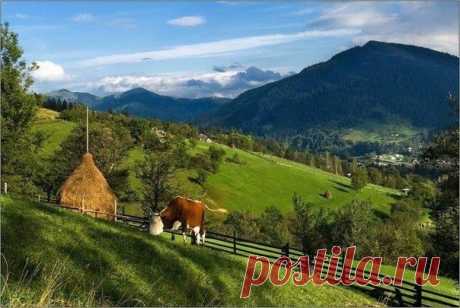 (10) Facebook