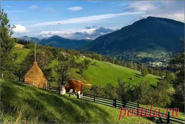 (10) Facebook