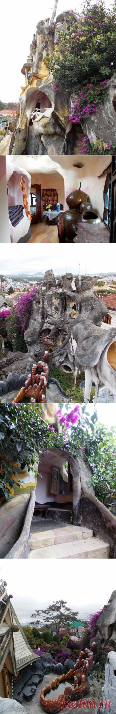 Вьетнамский «Сумасшедший дом»