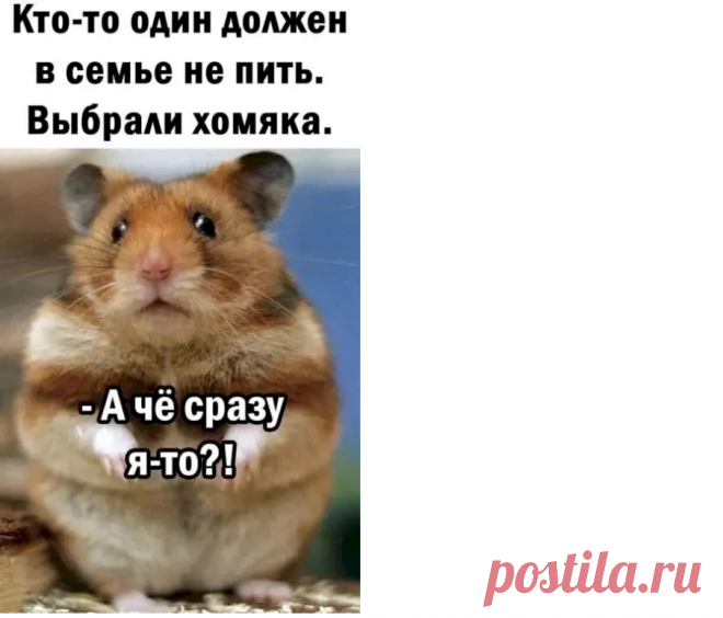 e07443e7.png (905×774)