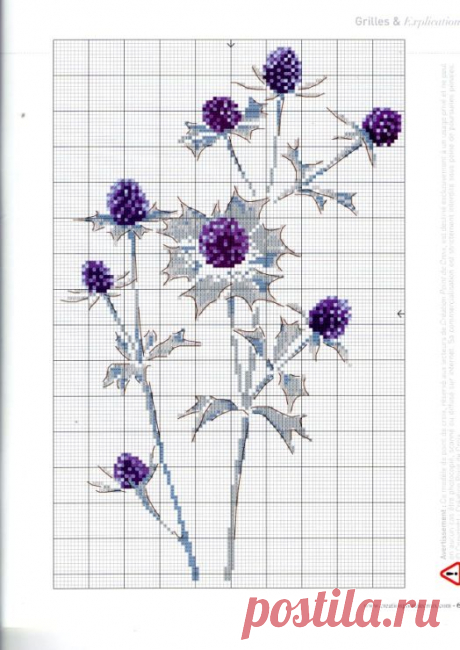 (3) Pinterest