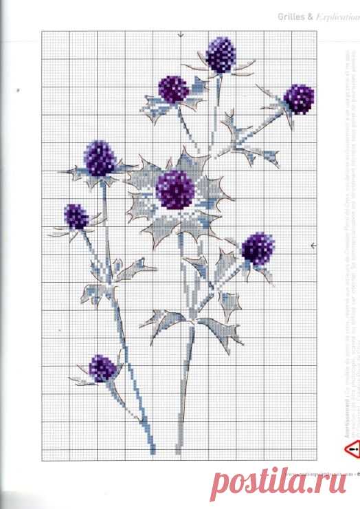 (3) Pinterest