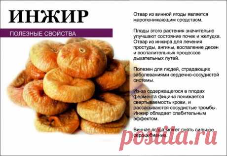 Инжир - полезные свойств