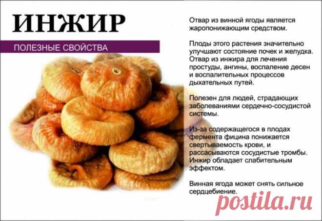 Инжир - полезные свойств