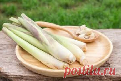 Лемонграсс - что это такое, как применять и где купить