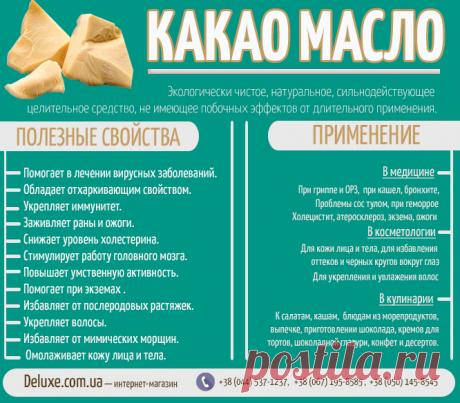 Масло какао — полезные свойства, применение, рецепты. Инфографика