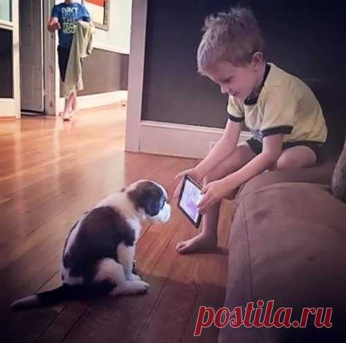 Проделки маленьких шалунов / Малютка