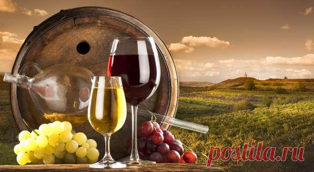 Какое вино полезнее для сохранения здоровья женщины — ХОЗЯЮШКА24